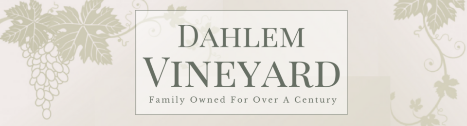 Dahlem Vineyard